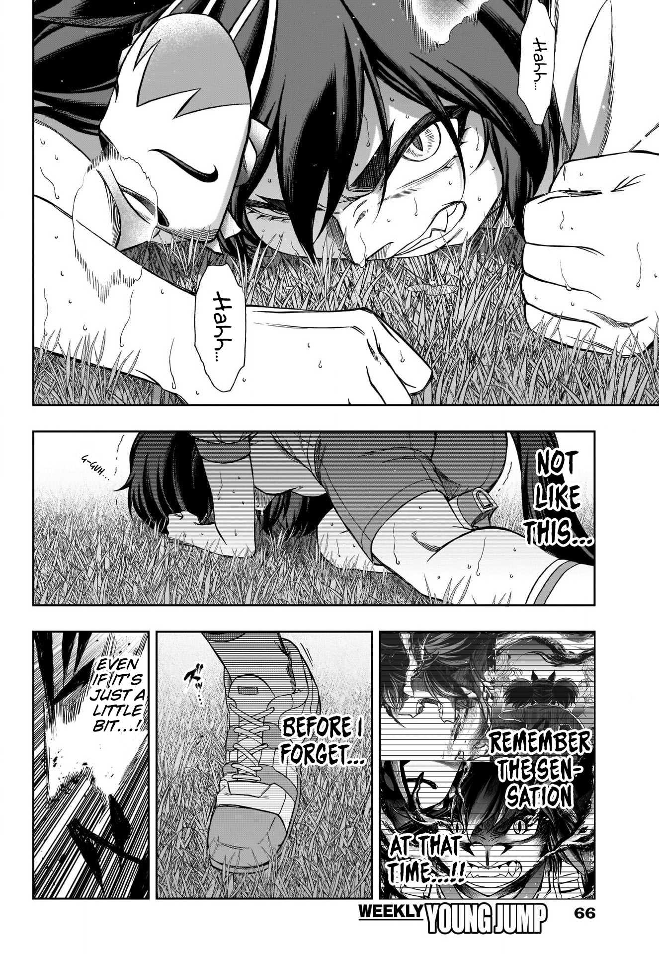 Read Uma Musume Cinderella Gray ENGLISH Manga Online