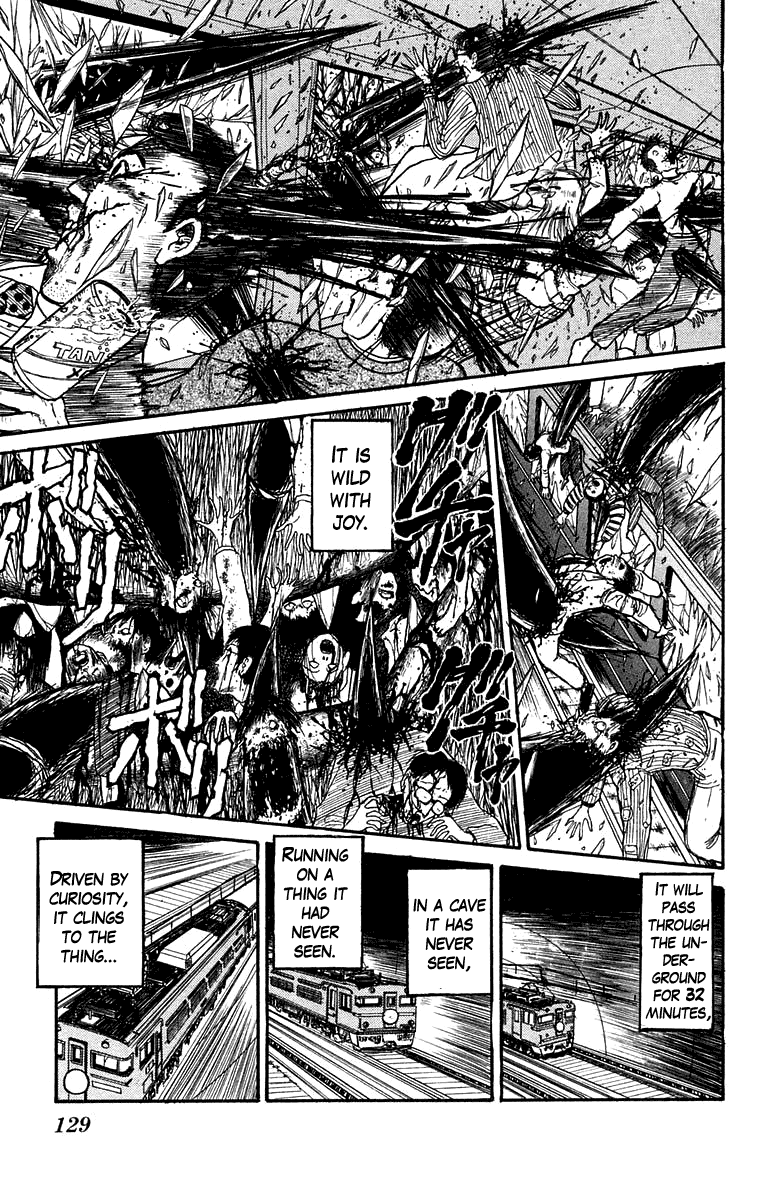 Read Ushio and Tora ENGLISH Manga Online