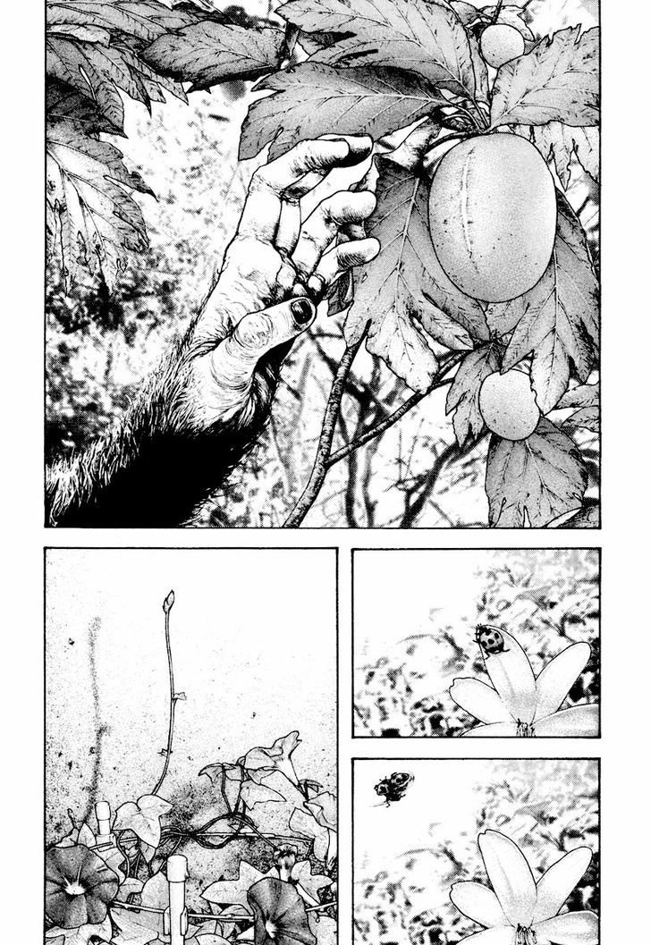 Read Ascension The Climber Español Manga Online