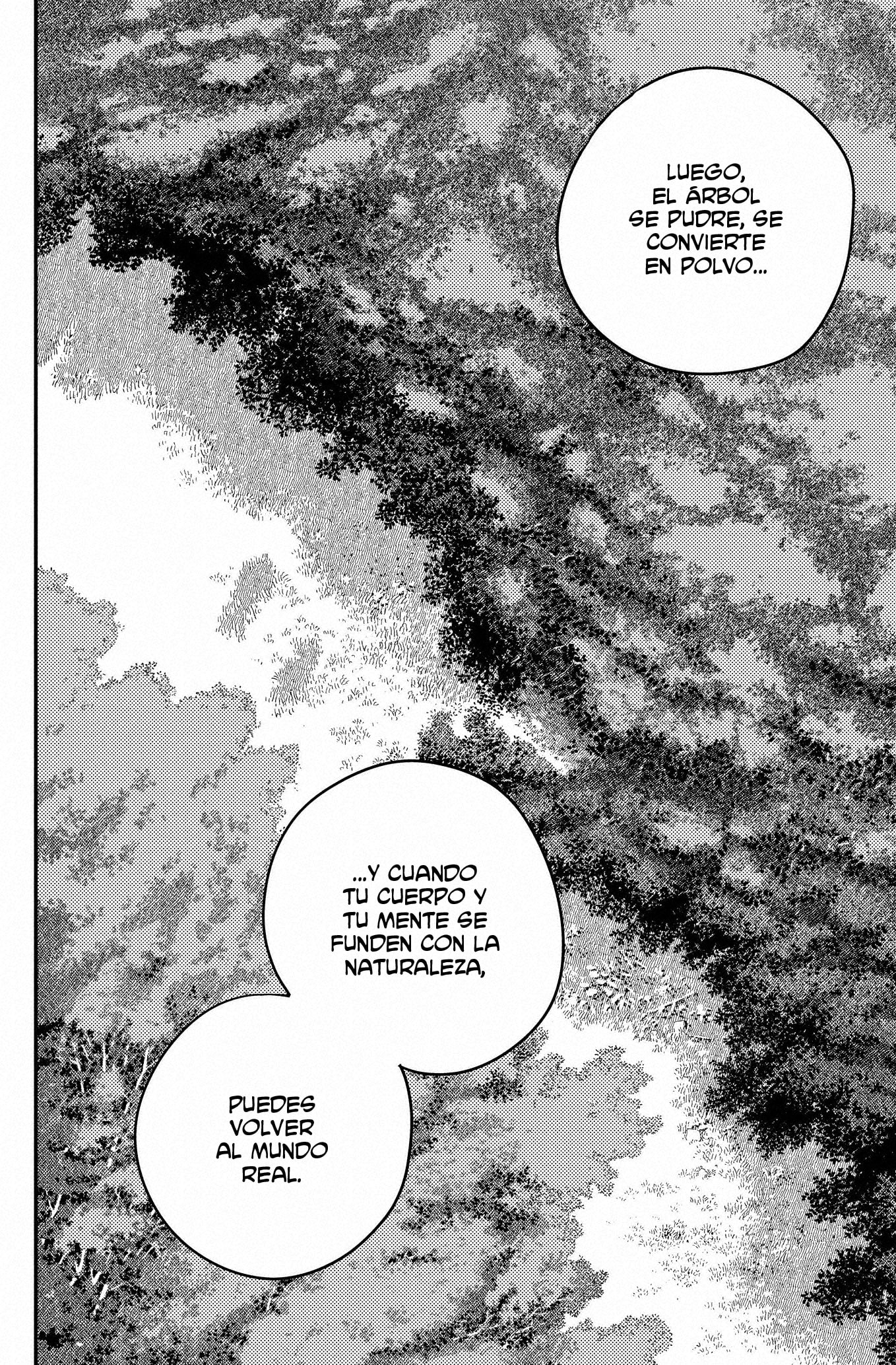 Read Chainsaw Man Español Manga Online