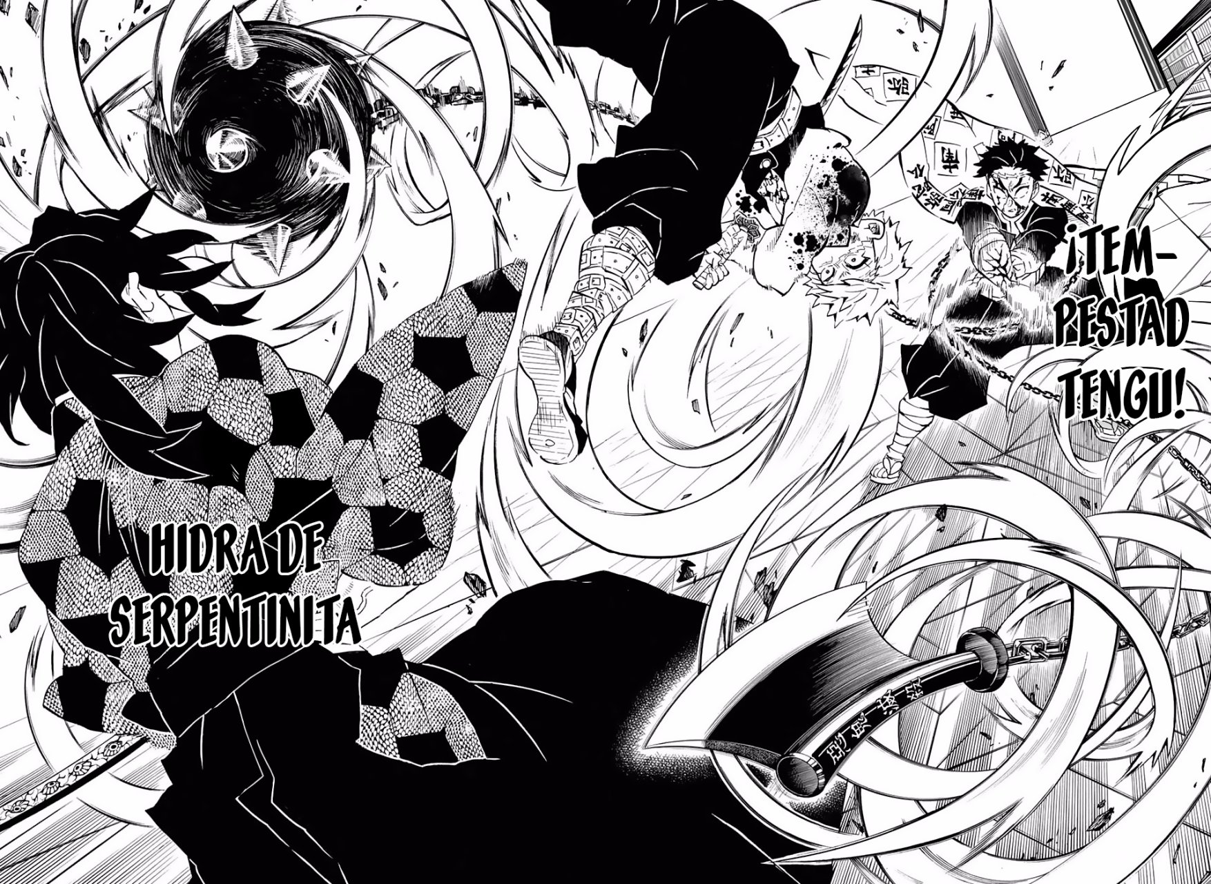 Read Demon Slayer_ Kimetsu no Yaiba Español Manga Online