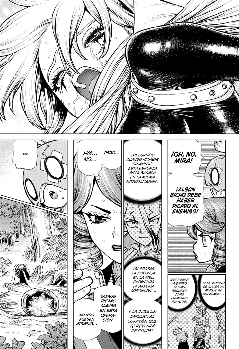 Read Dr. Stone Español Manga Online