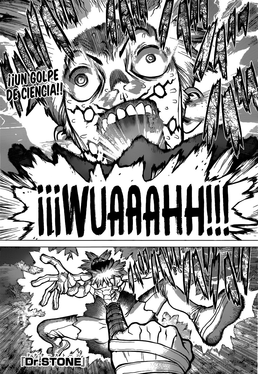 Read Dr. Stone Español Manga Online