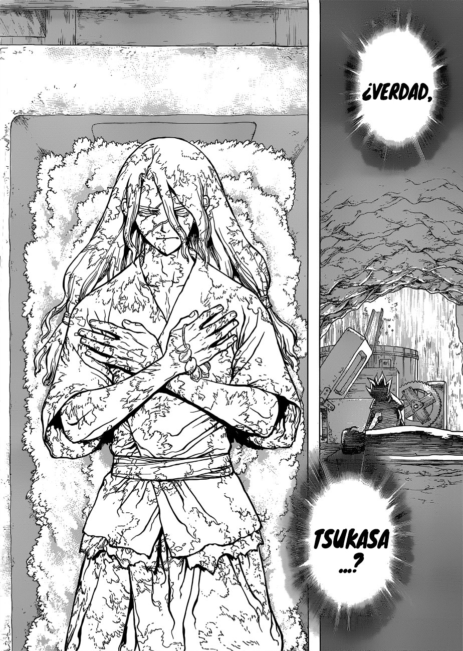 Read Dr. Stone Español Manga Online