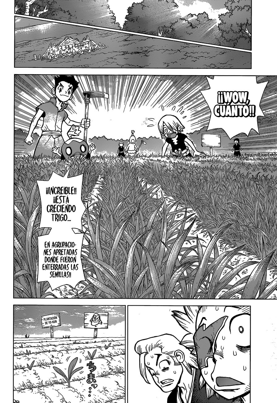 Read Dr. Stone Español Manga Online