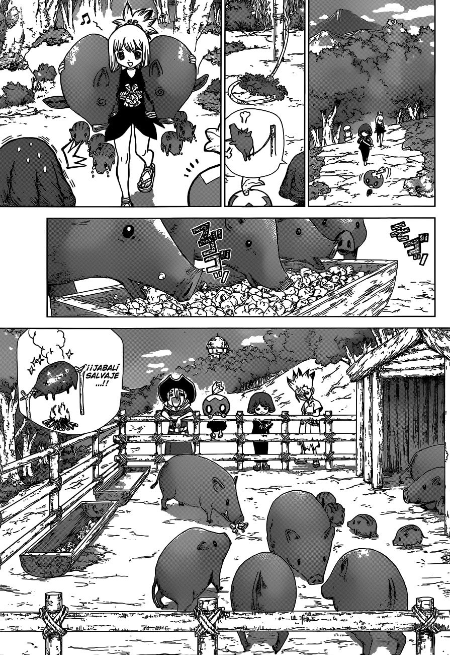 Read Dr. Stone Español Manga Online