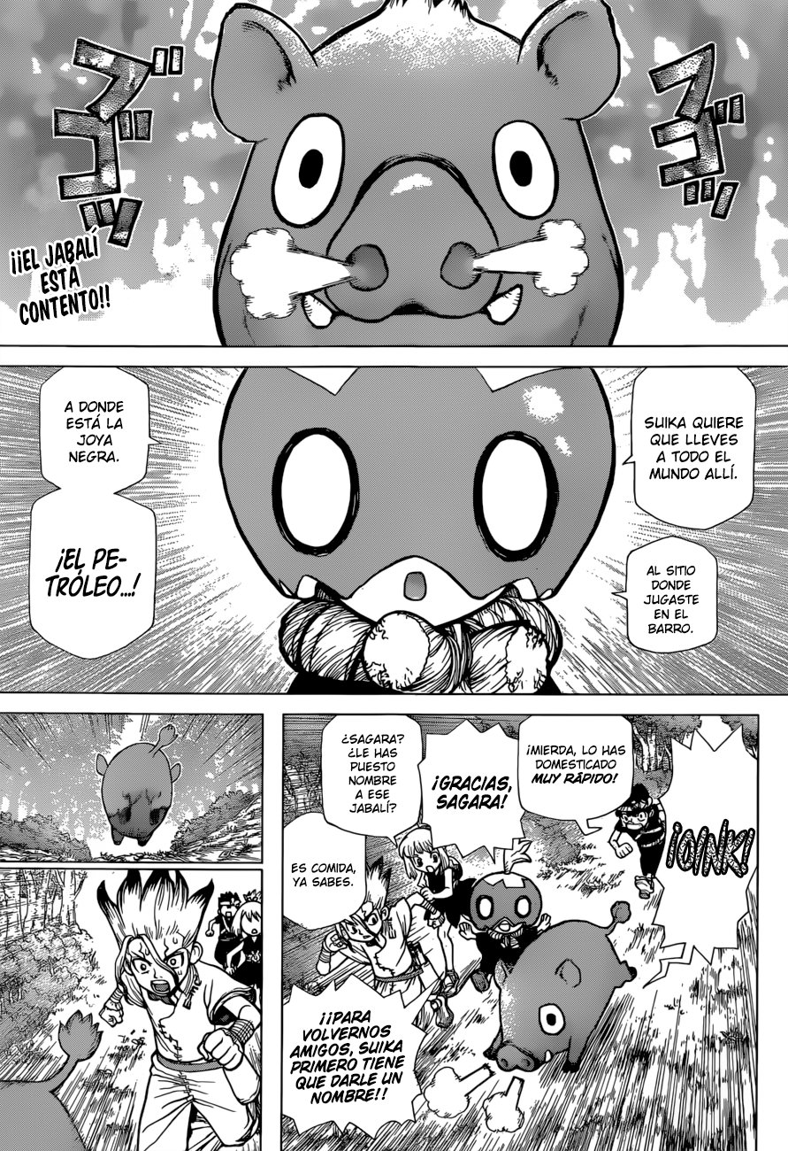 Read Dr. Stone Español Manga Online