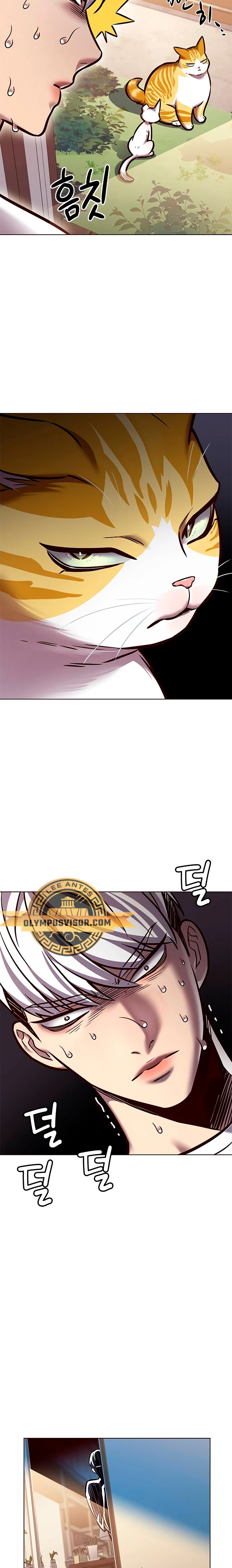 Read Eleceed Español Manga Online