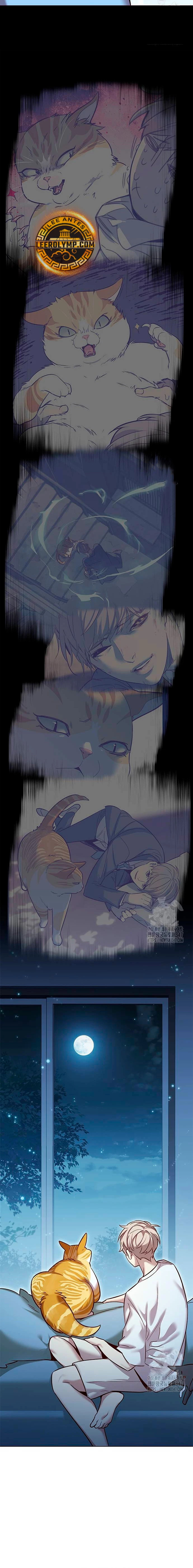 Read Eleceed Español Manga Online