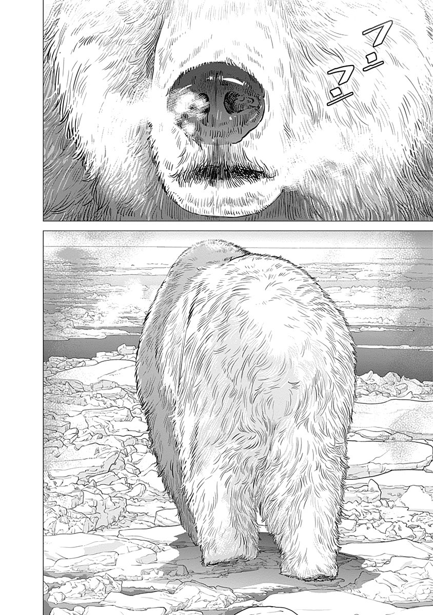 Read Golden Kamuy Español Manga Online