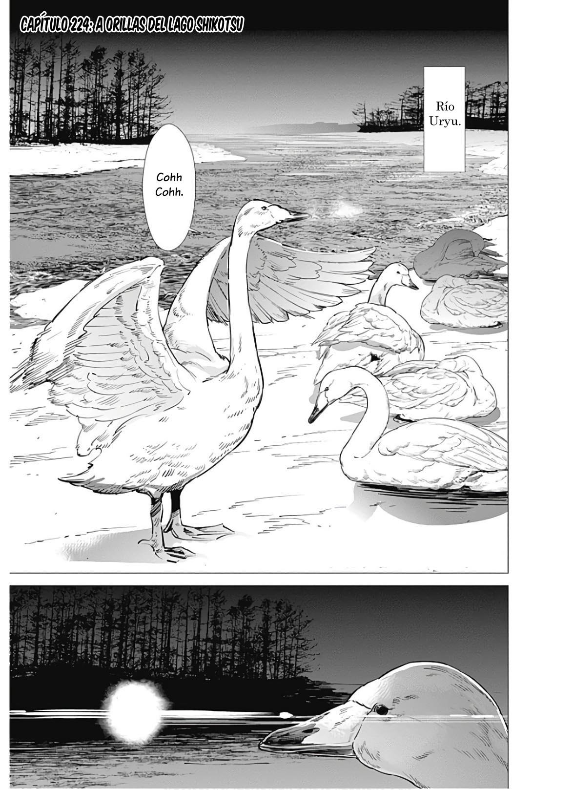 Read Golden Kamuy Español Manga Online