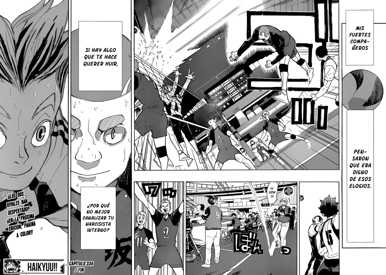 Read Haikyu!! Español Manga Online