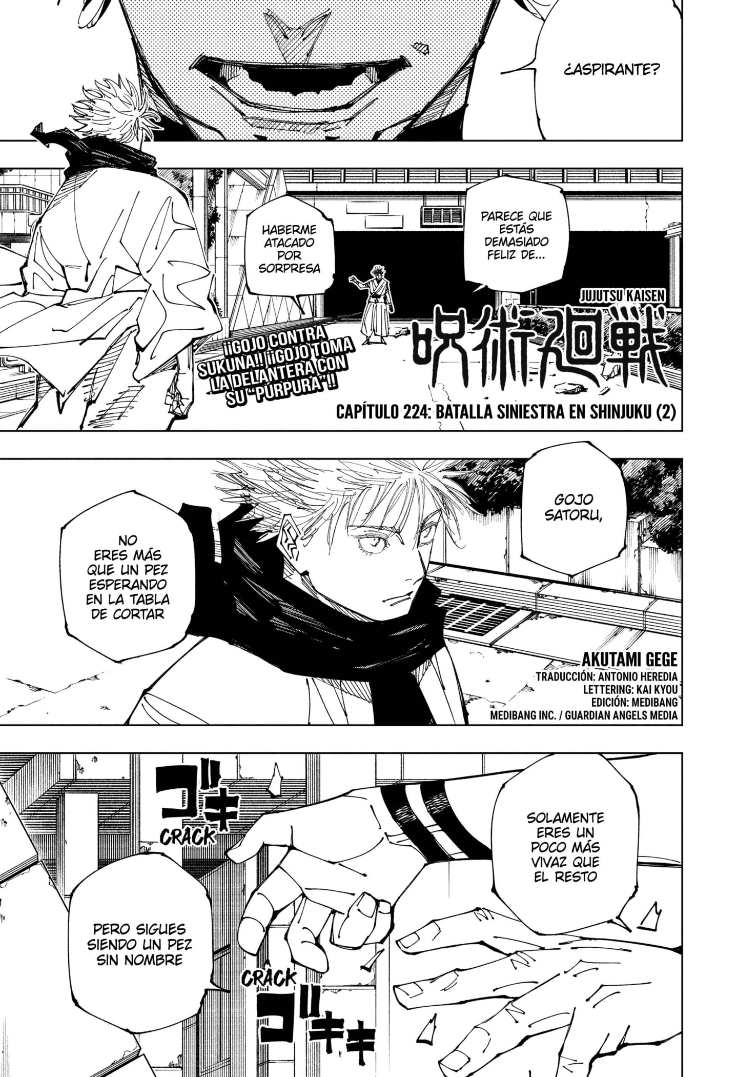 Read Jujutsu Kaisen Español Manga Online