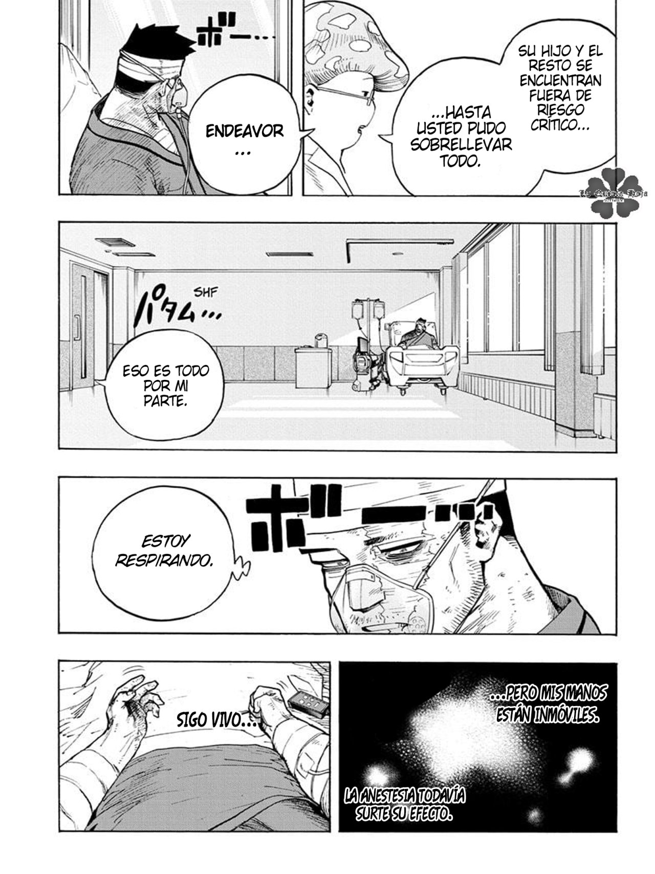 Read My Hero Academia Español Manga Online