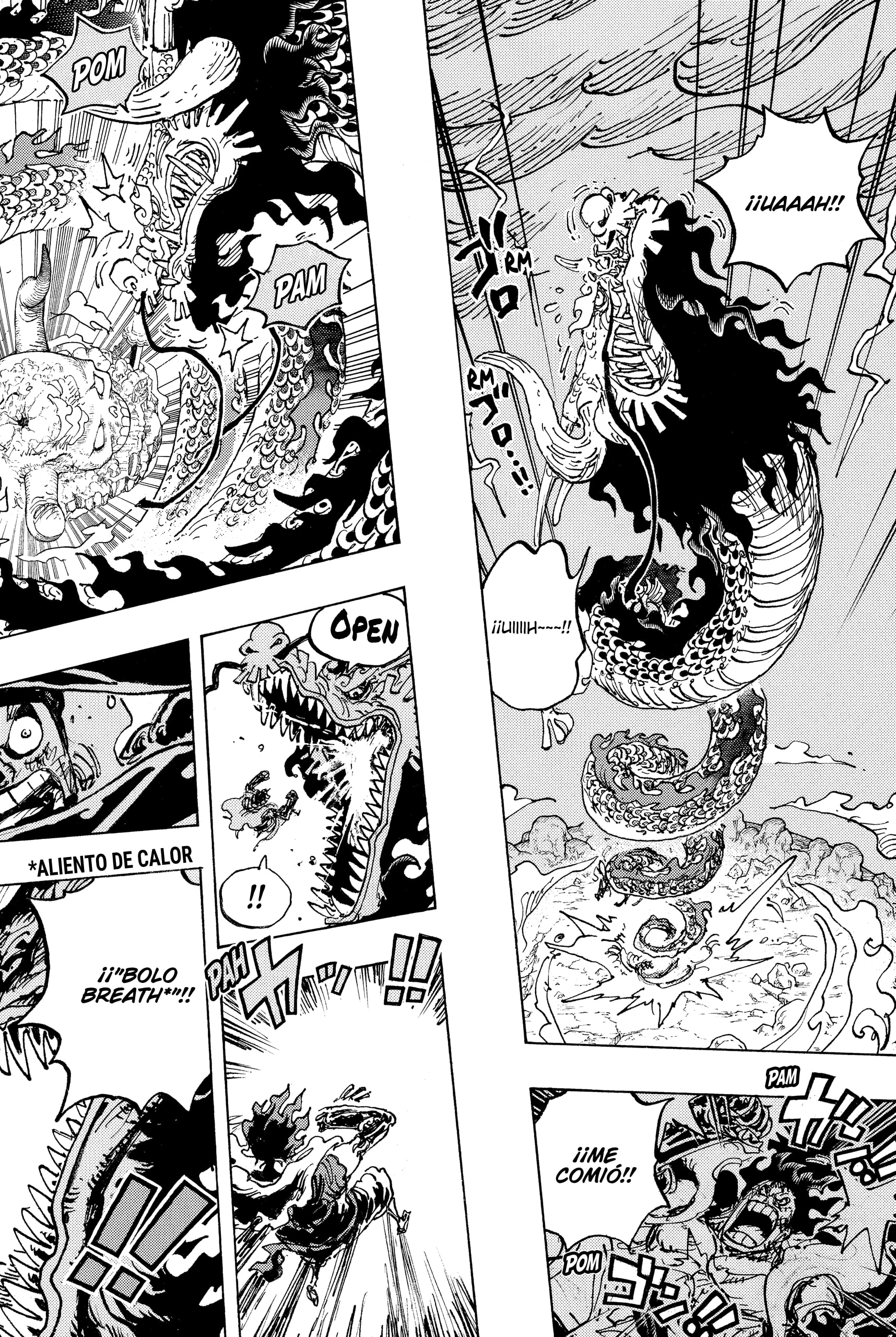 Read One Piece Español Manga Online