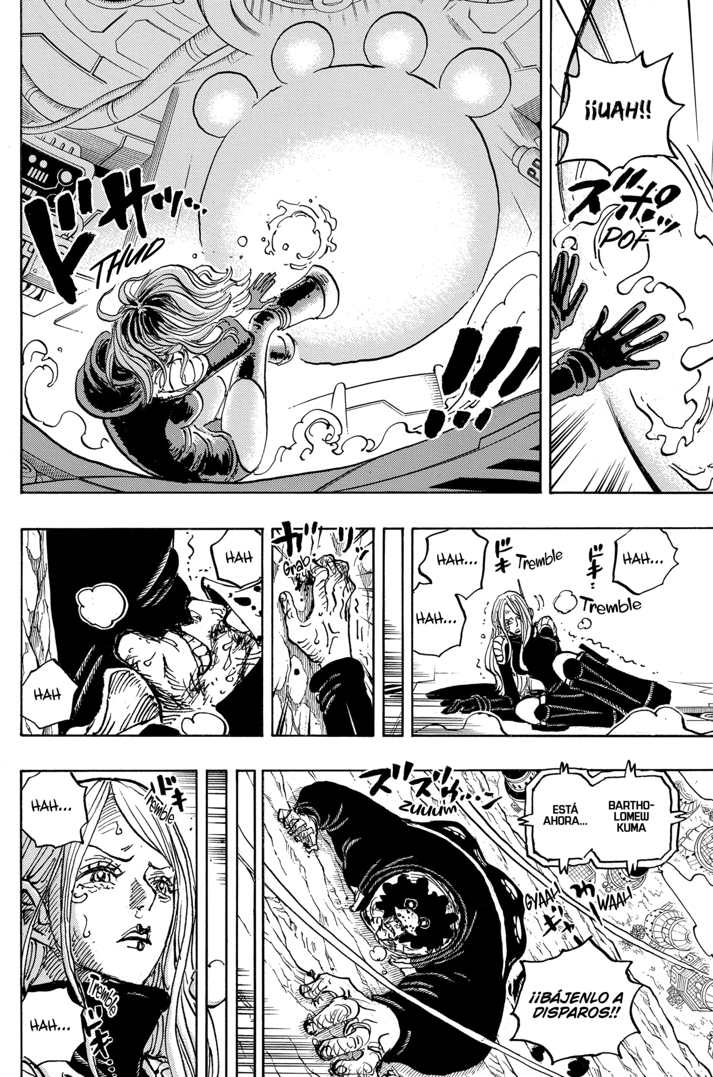 Read One Piece Español Manga Online