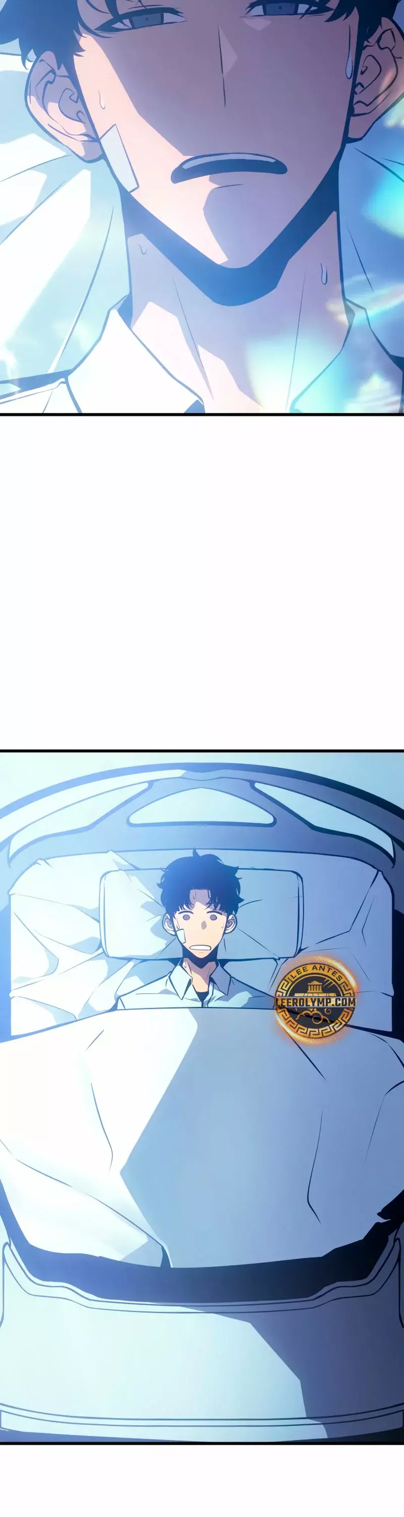 Read Solo Leveling_ Ragnarok Español Manga Online