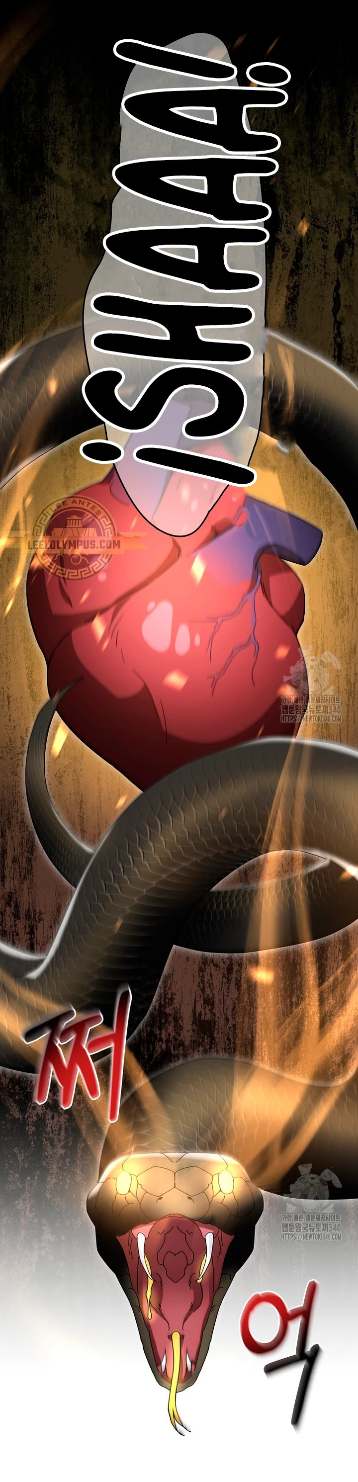 Read The Newbie is Too Strong Español Manga Online