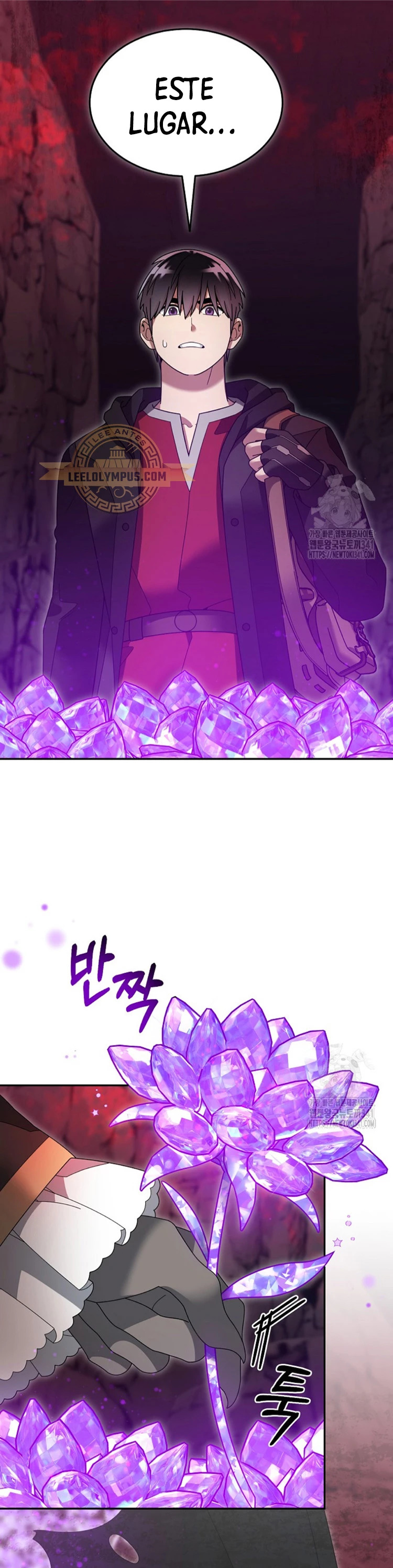 Read The Newbie is Too Strong Español Manga Online