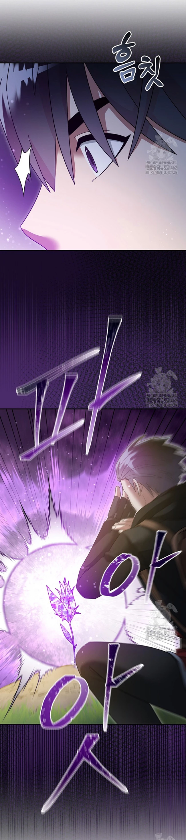 Read The Newbie is Too Strong Español Manga Online