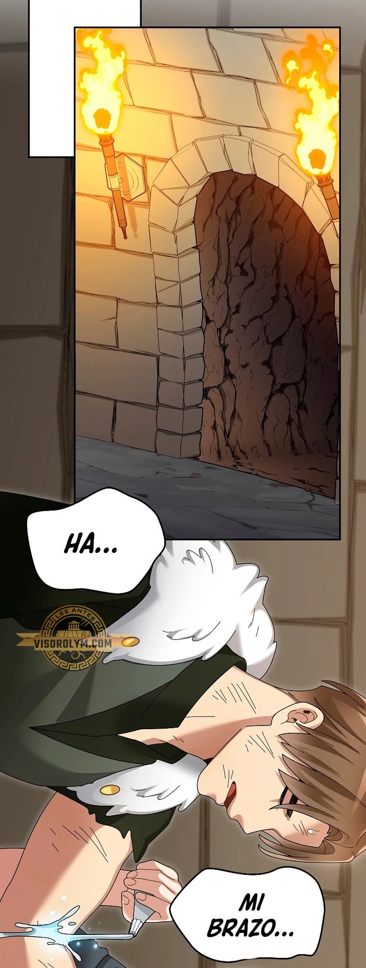 Read The Newbie is Too Strong Español Manga Online