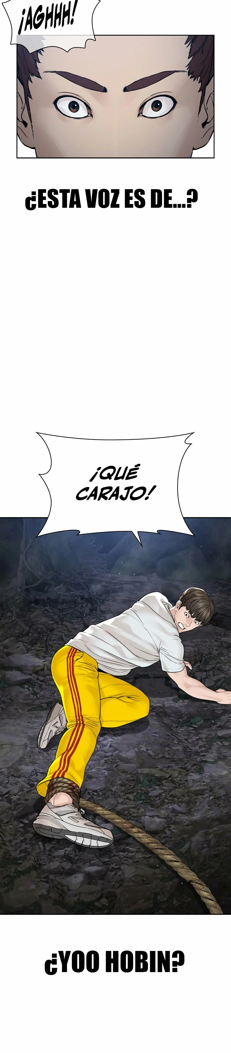 Read Viral Hit Español Manga Online