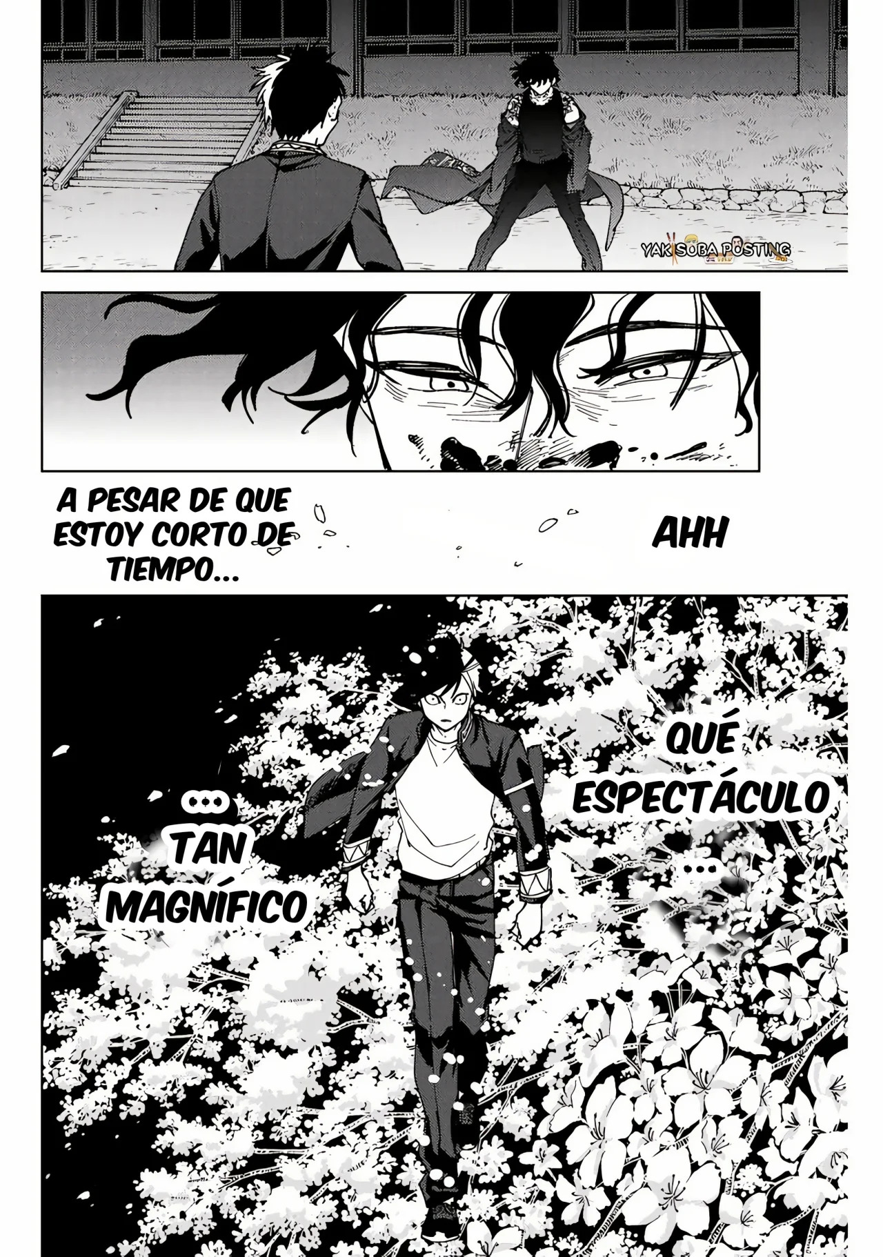 Read Wind Breaker Manga Español Manga Online
