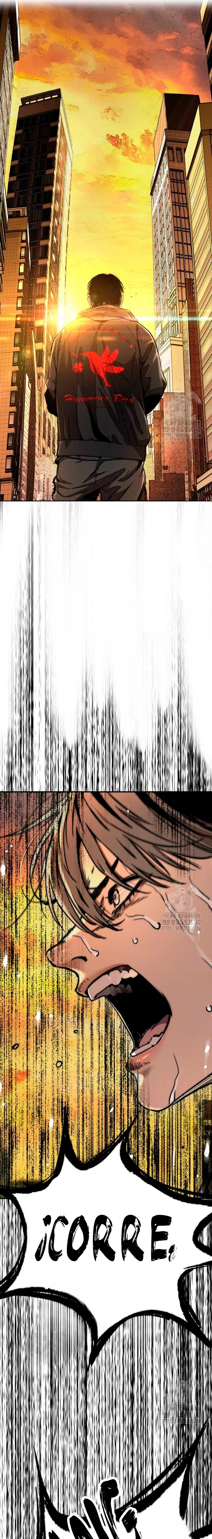 Read Wind Breaker Manhwa Español Manga Online