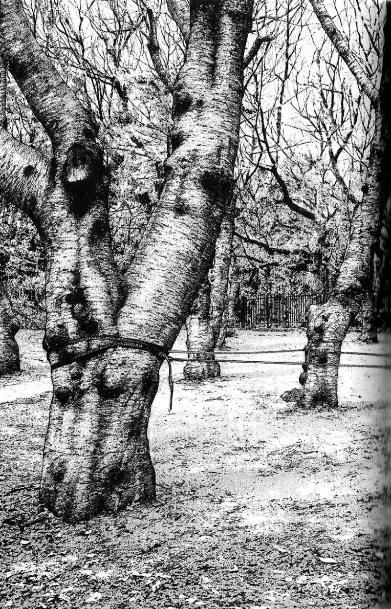 Read Ascension FRANCAIS Manga Online