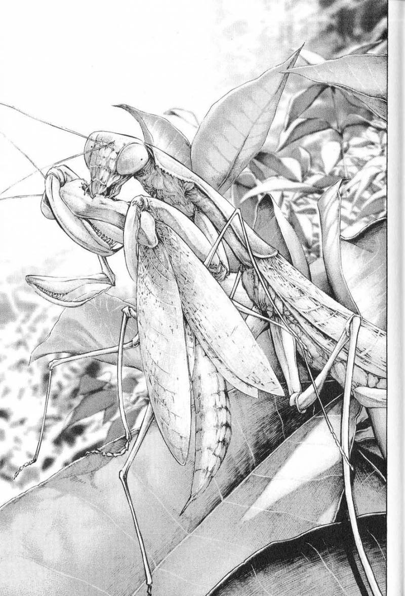 Read Ascension FRANCAIS Manga Online