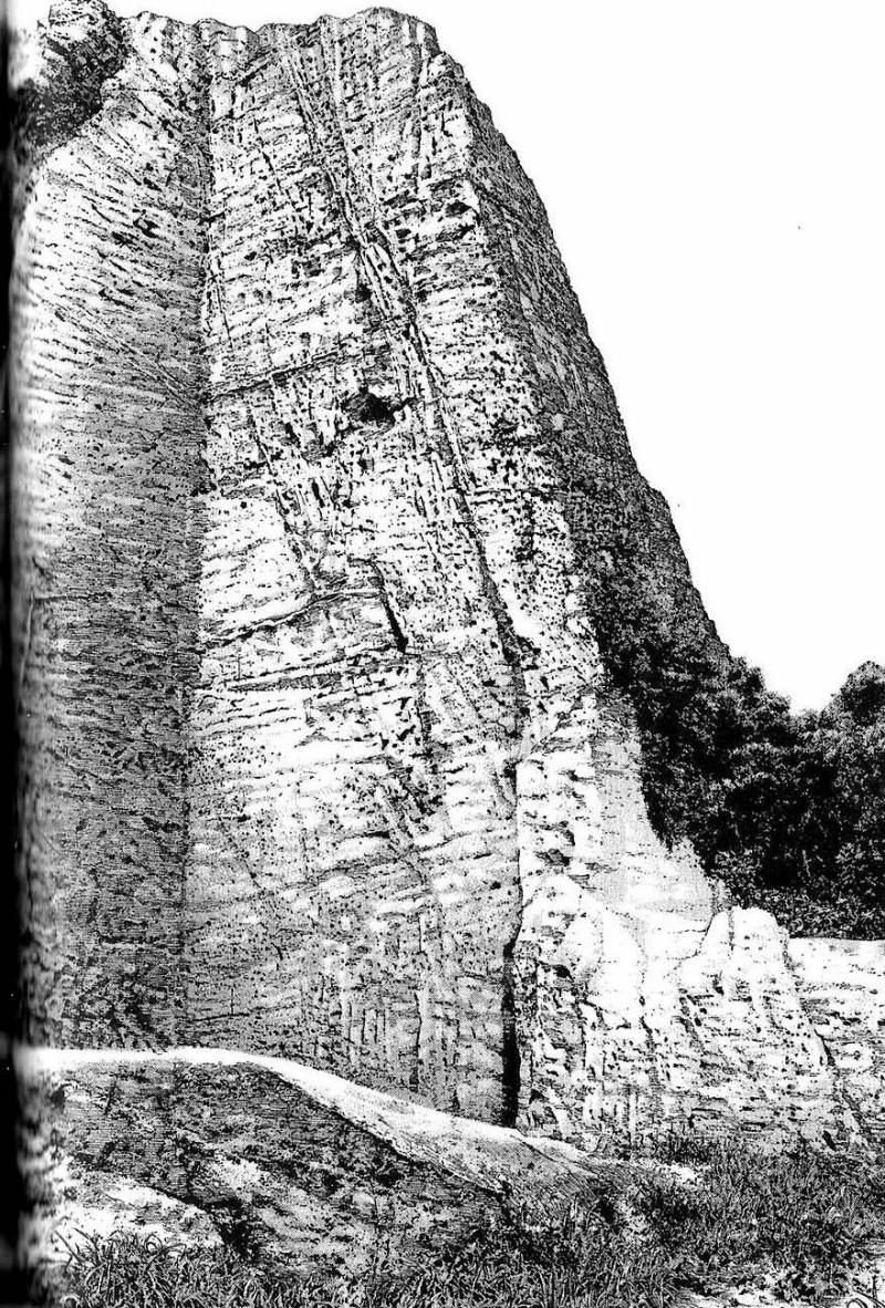 Read Ascension FRANCAIS Manga Online