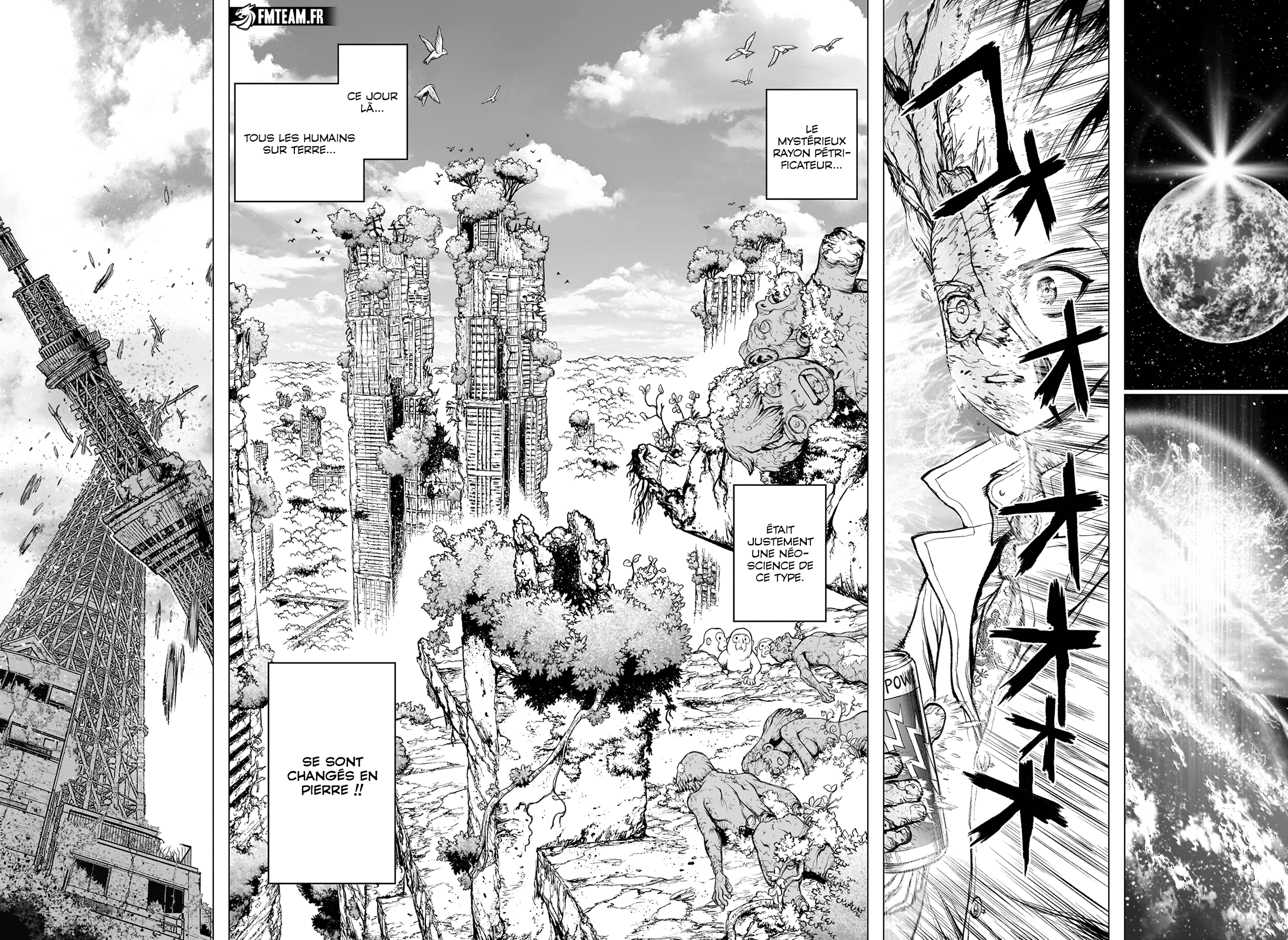 Read Dr. STONE 4D Science FRANCAIS Manga Online