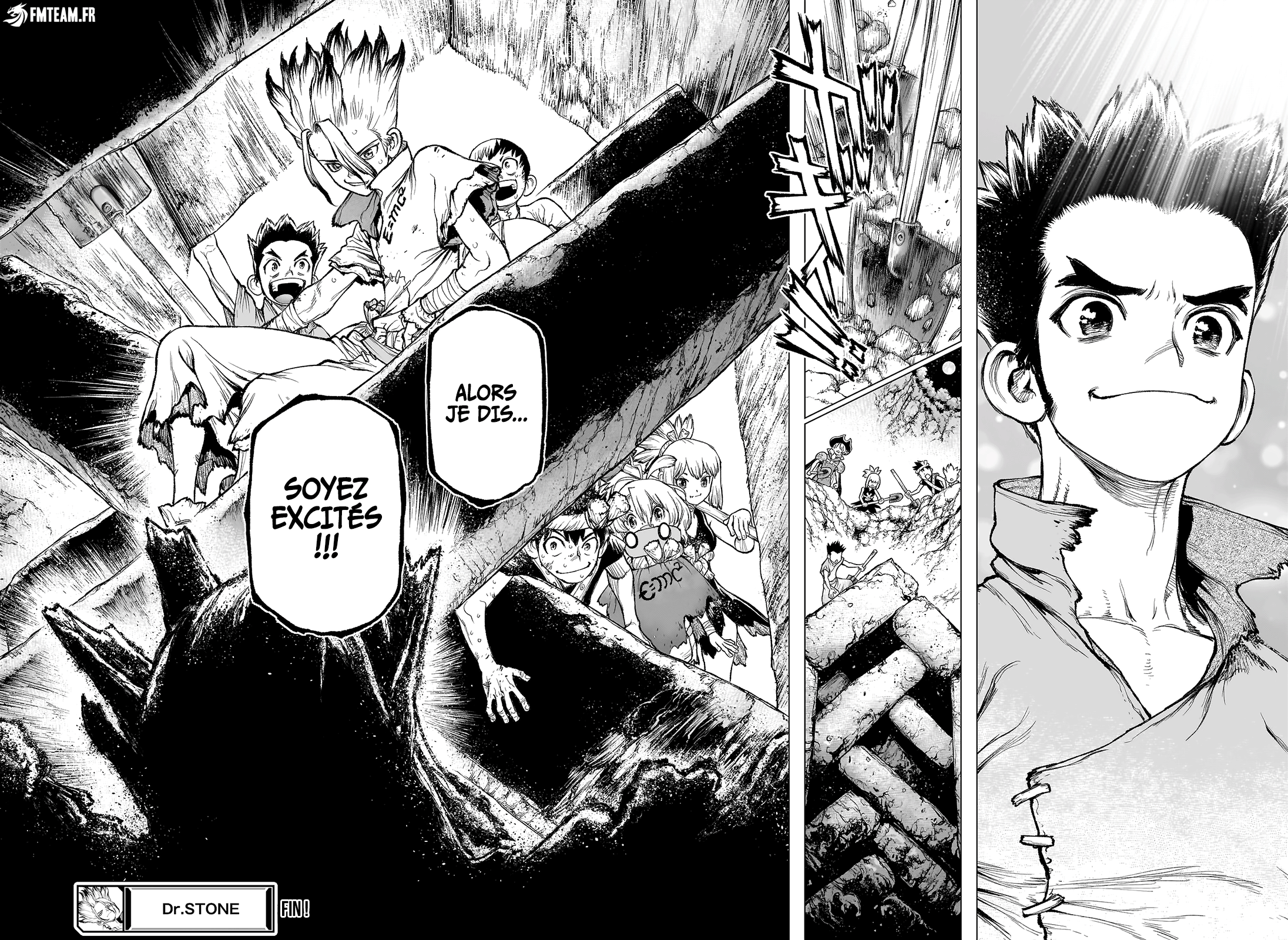 Read Dr. STONE 4D Science FRANCAIS Manga Online