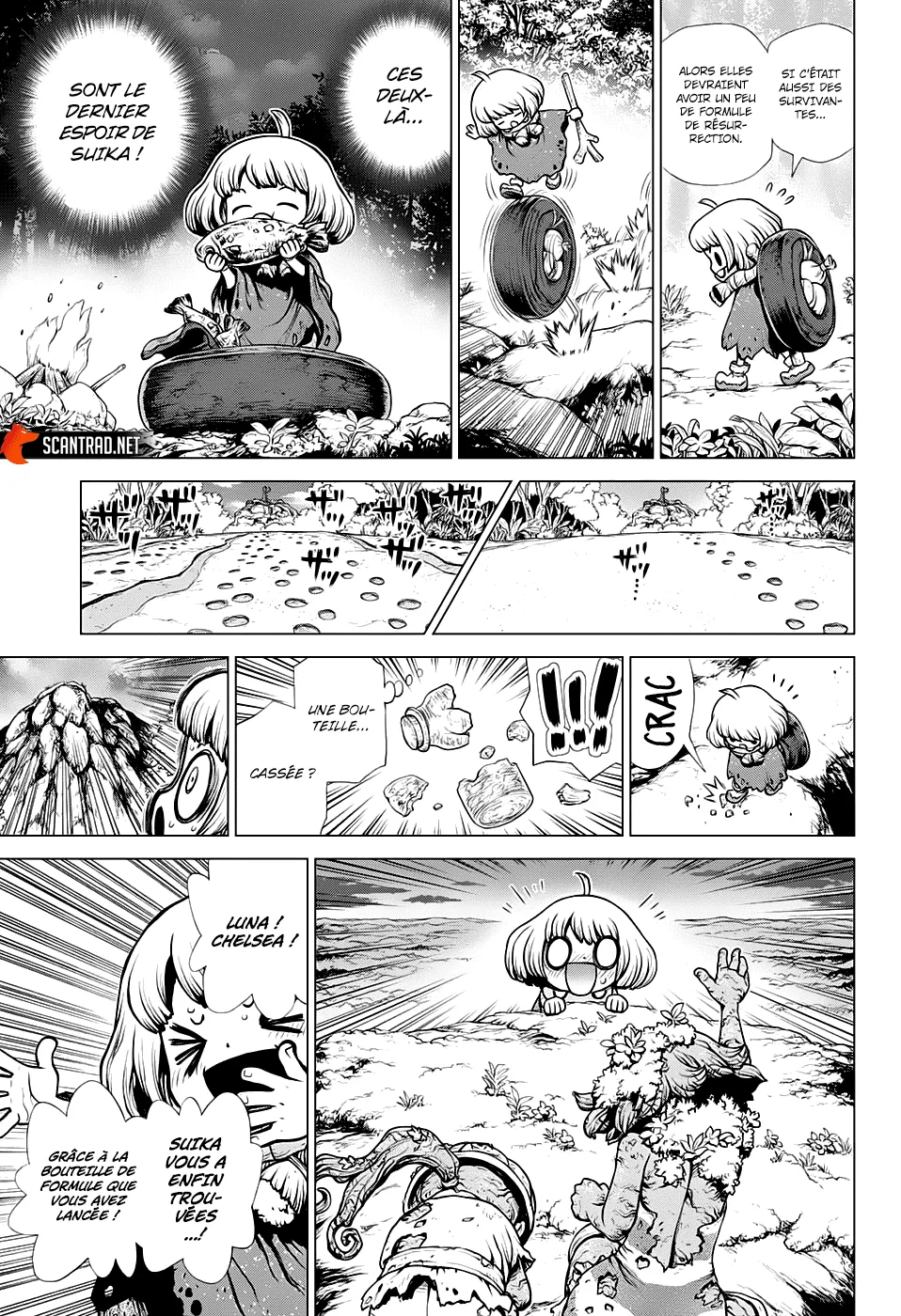 Read Dr. STONE FRANCAIS Manga Online