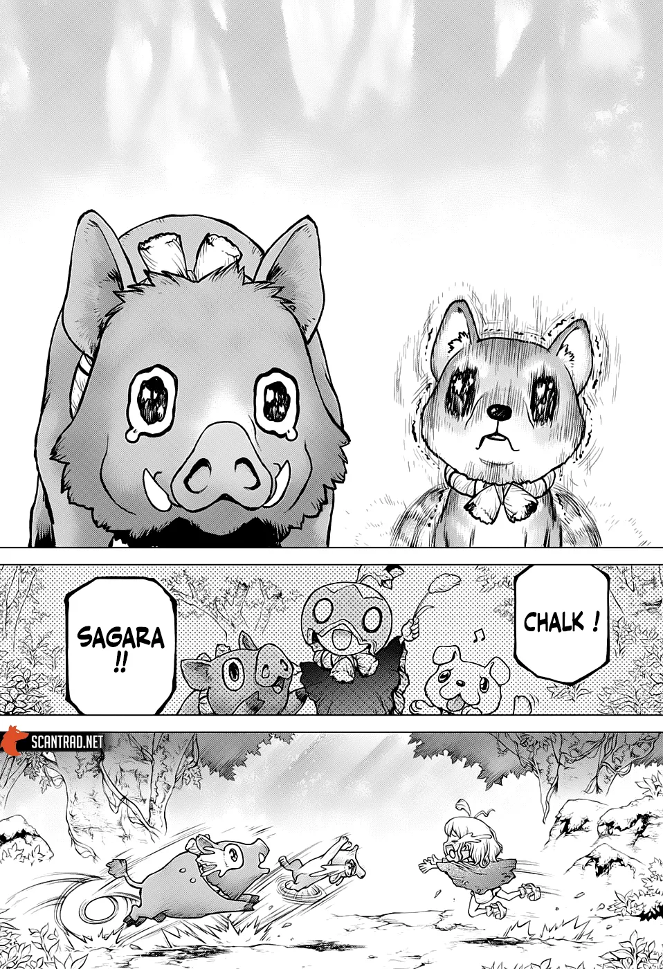 Read Dr. STONE FRANCAIS Manga Online