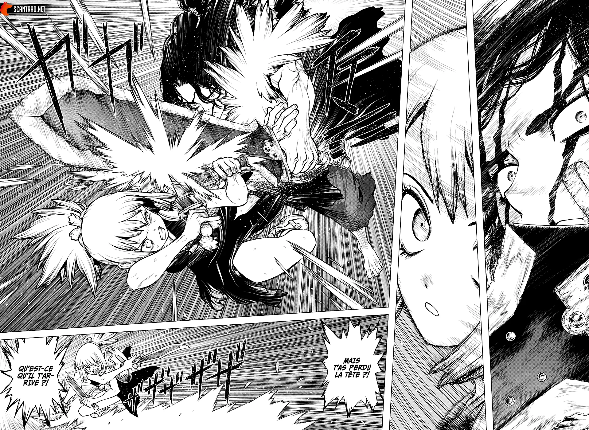 Read Dr. STONE FRANCAIS Manga Online