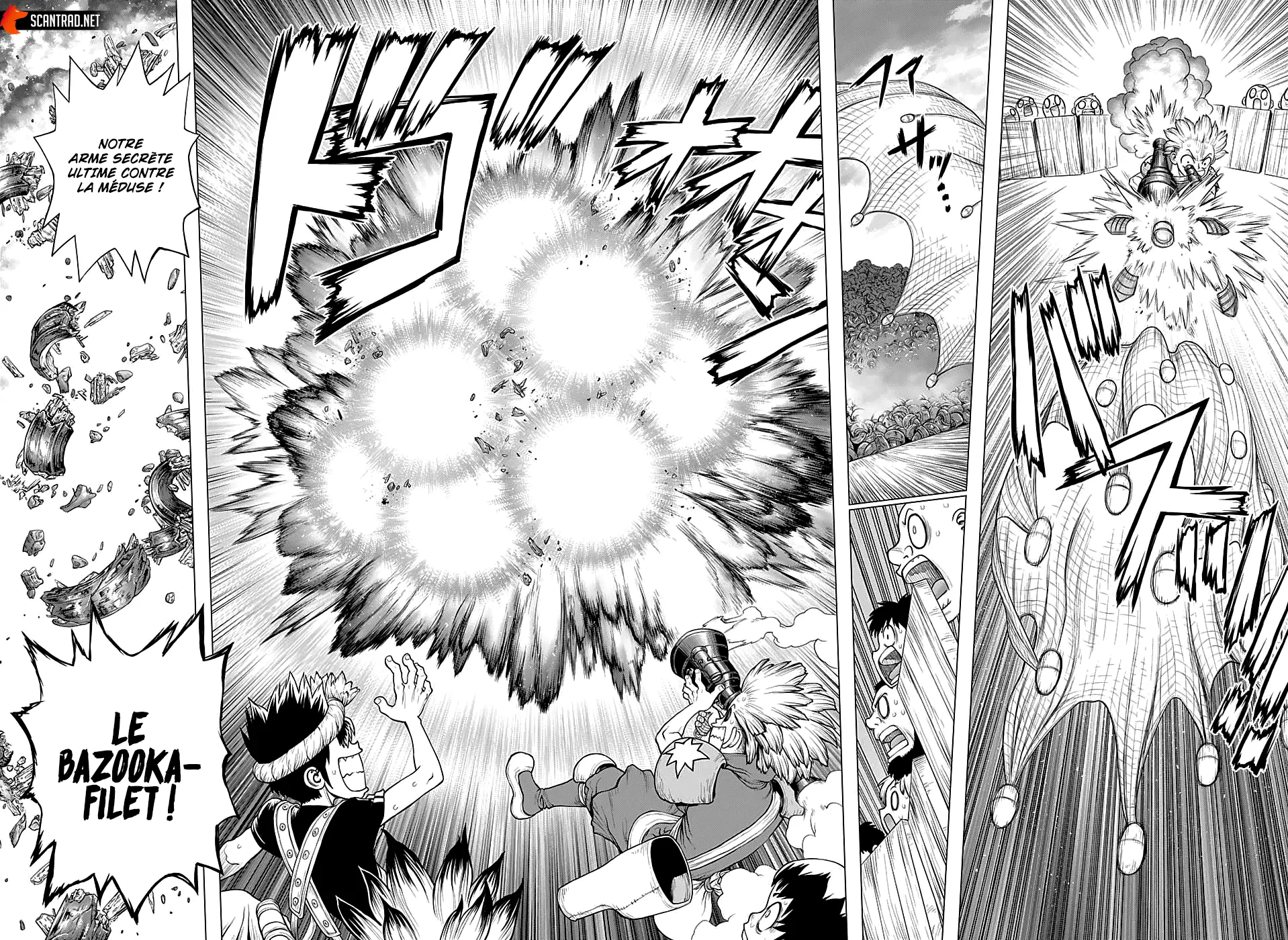 Read Dr. STONE FRANCAIS Manga Online