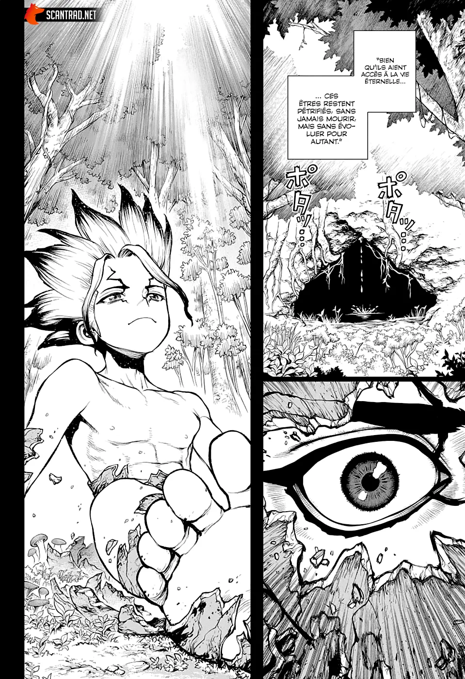Read Dr. STONE FRANCAIS Manga Online