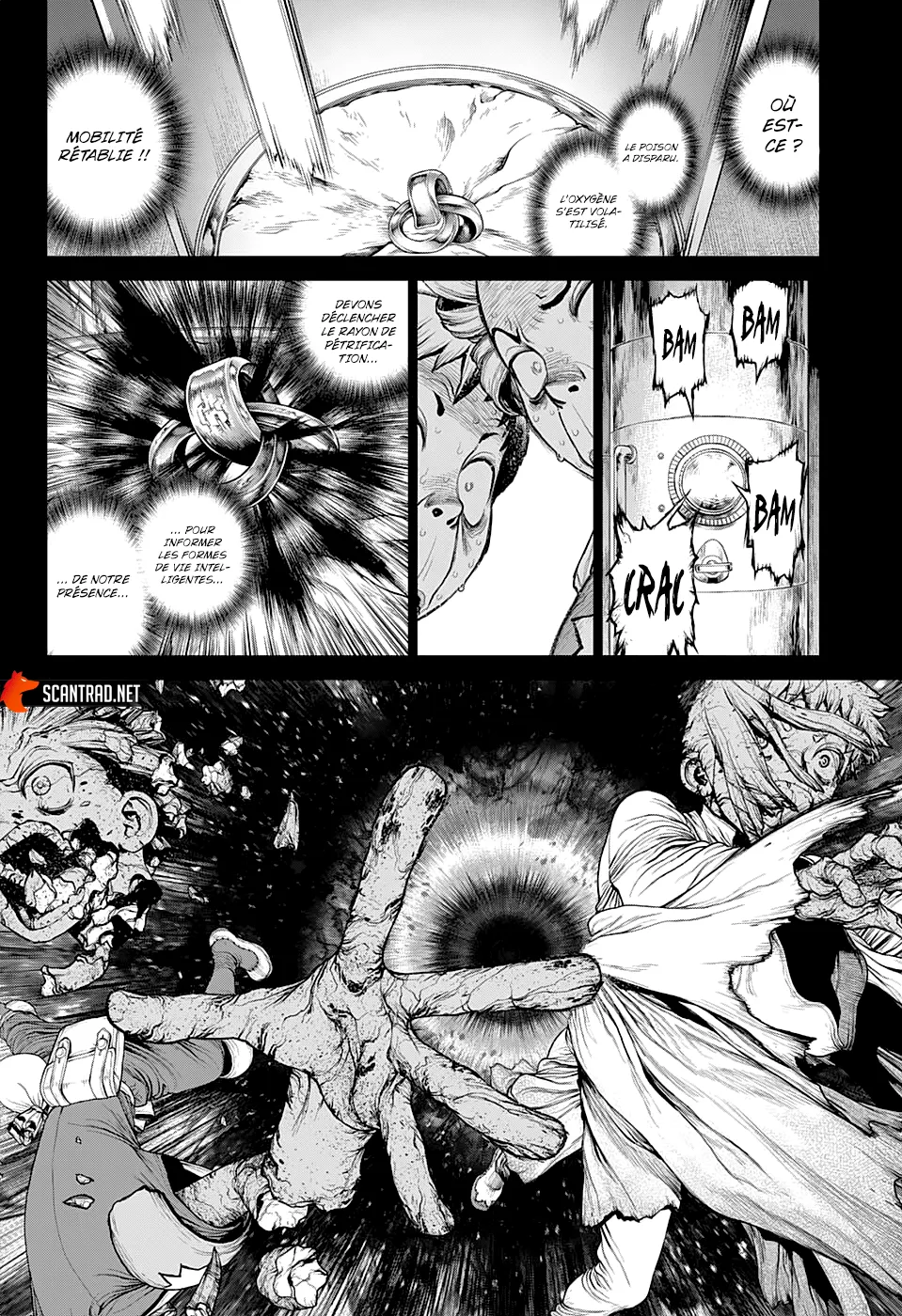 Read Dr. STONE FRANCAIS Manga Online