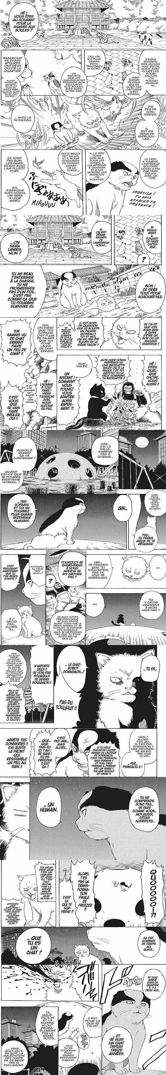 Read Gintama FRANCAIS Manga Online