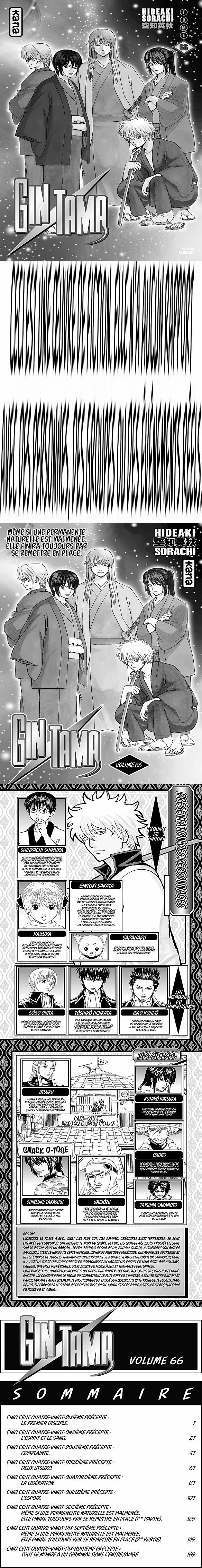 Read Gintama FRANCAIS Manga Online