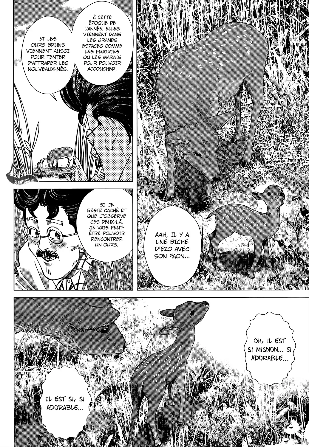 Read Golden Kamuy FRANCAIS Manga Online