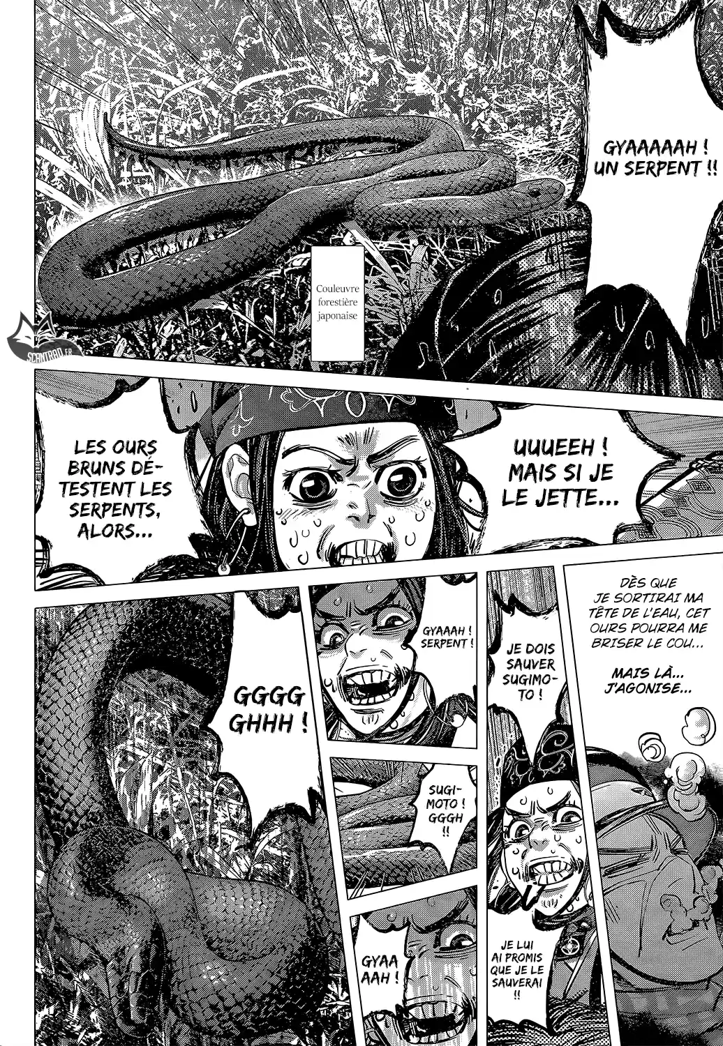 Read Golden Kamuy FRANCAIS Manga Online