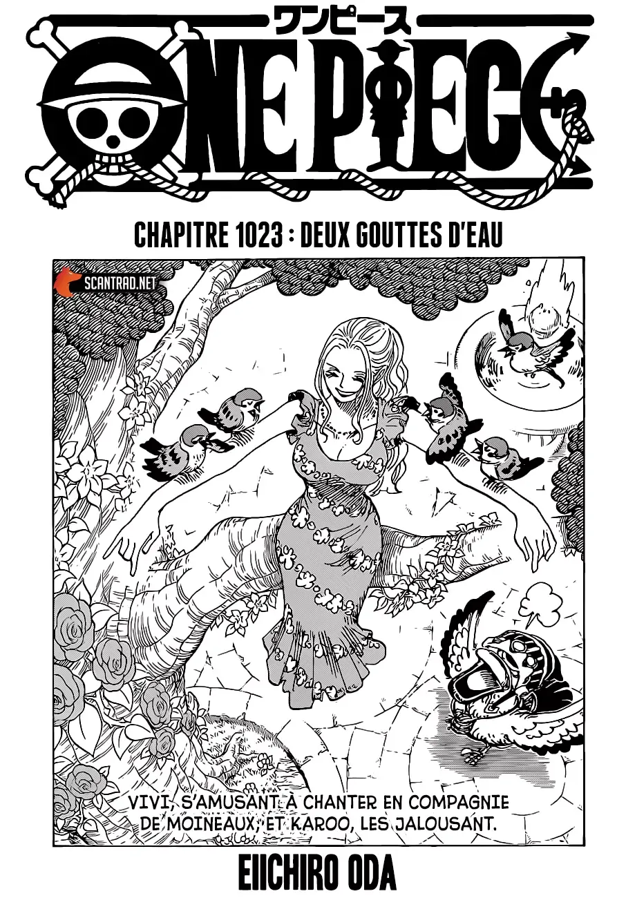 Read One Piece FRANCAIS Manga Online