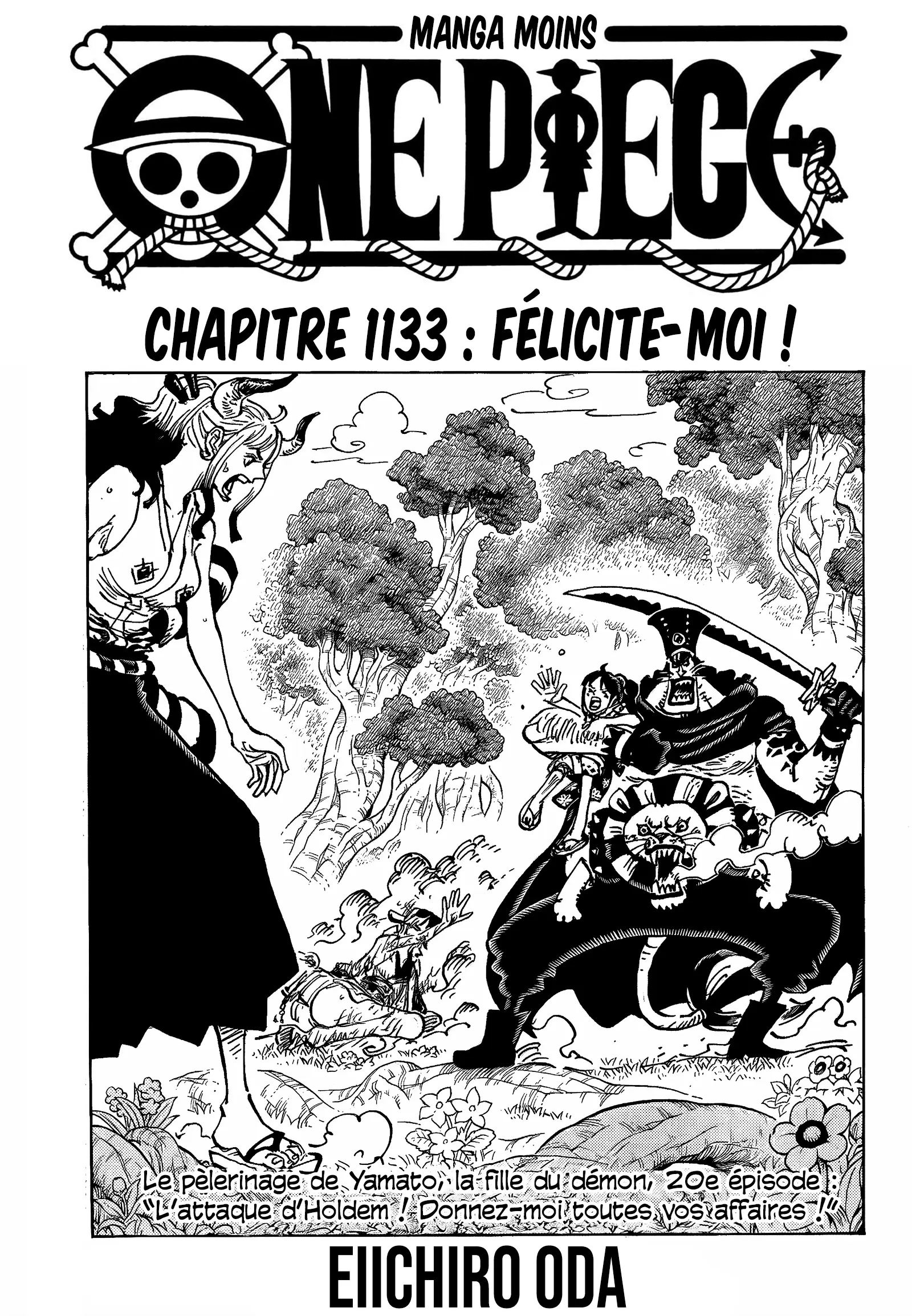 Read One Piece FRANCAIS Manga Online