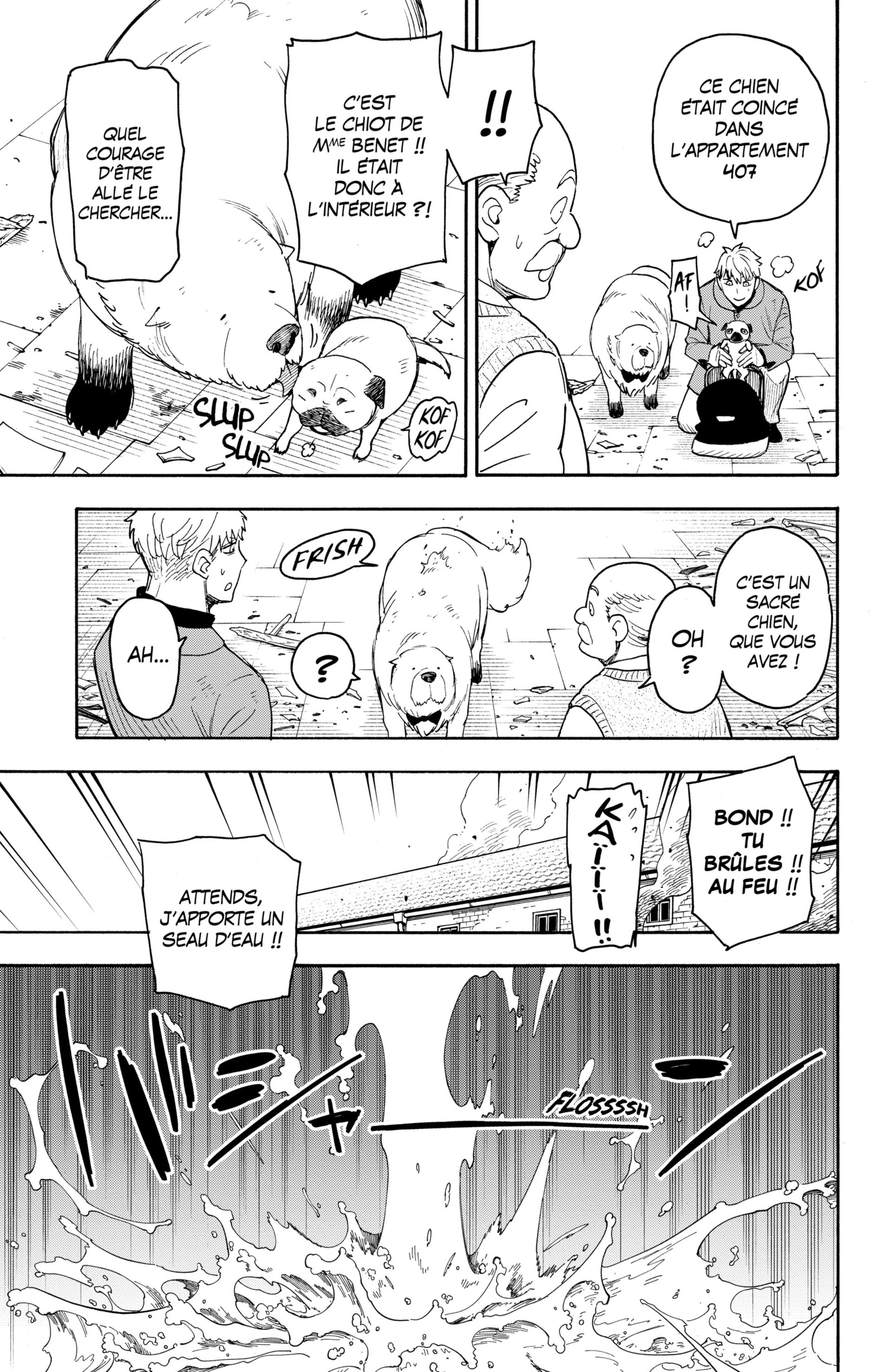 Read Spy X Family FRANCAIS Manga Online