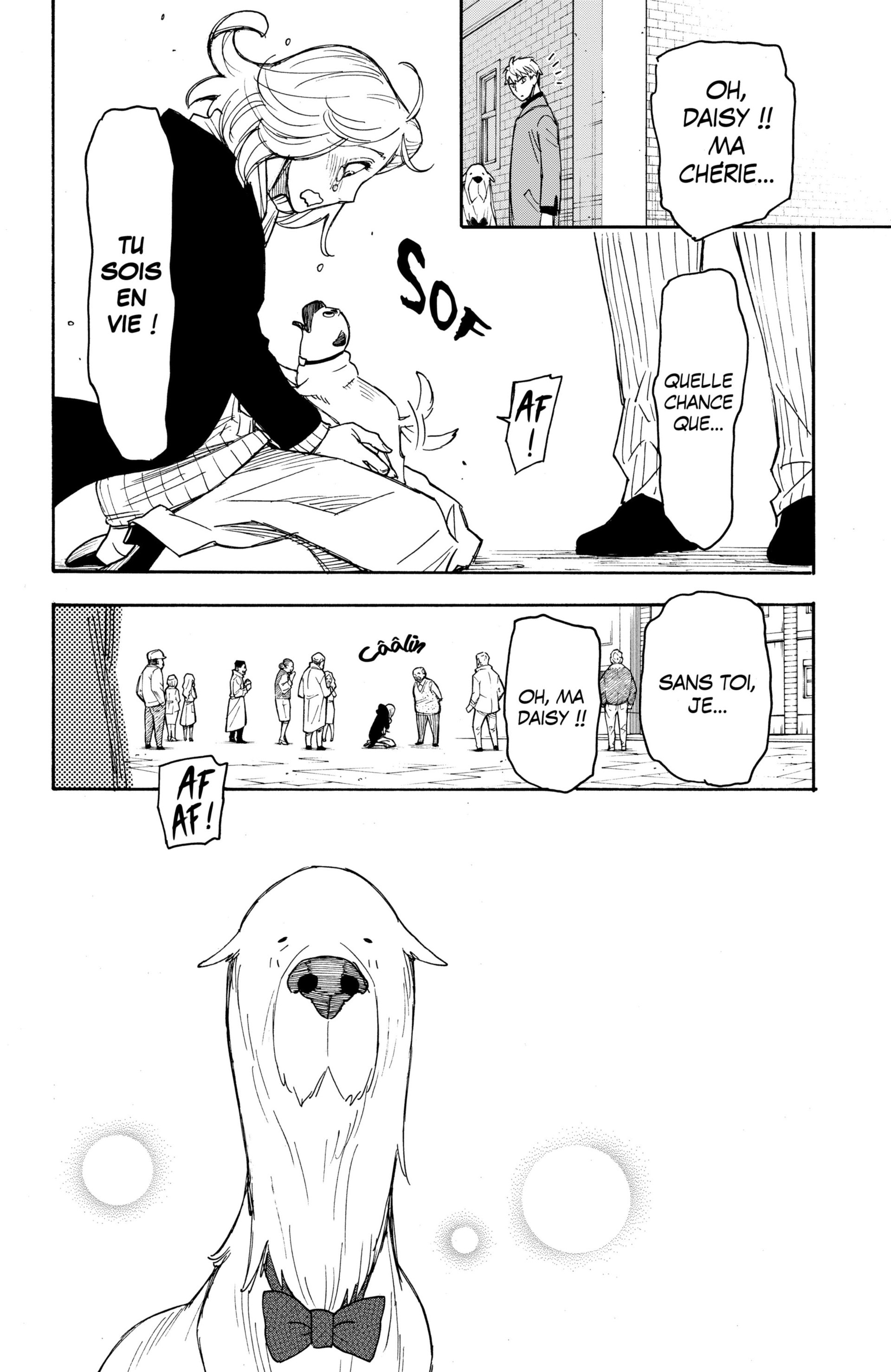 Read Spy X Family FRANCAIS Manga Online