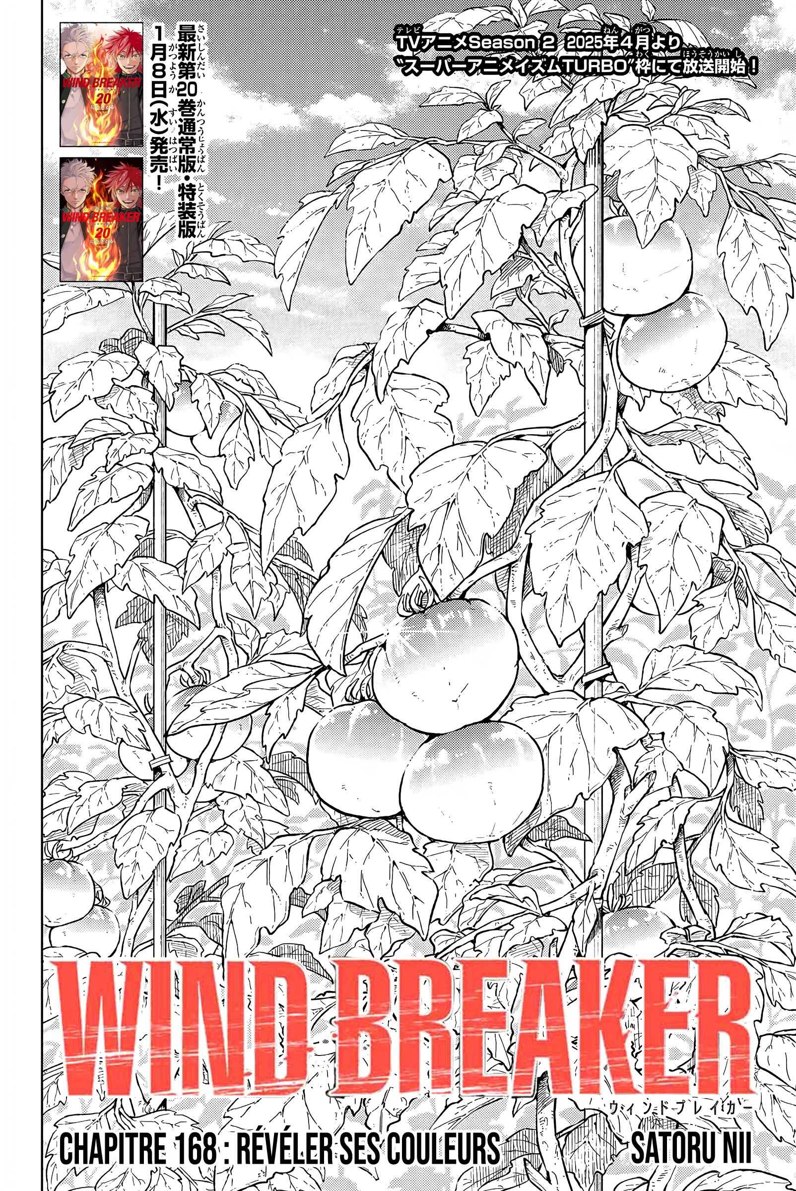 Read Wind Breaker Manga FRANCAIS Manga Online