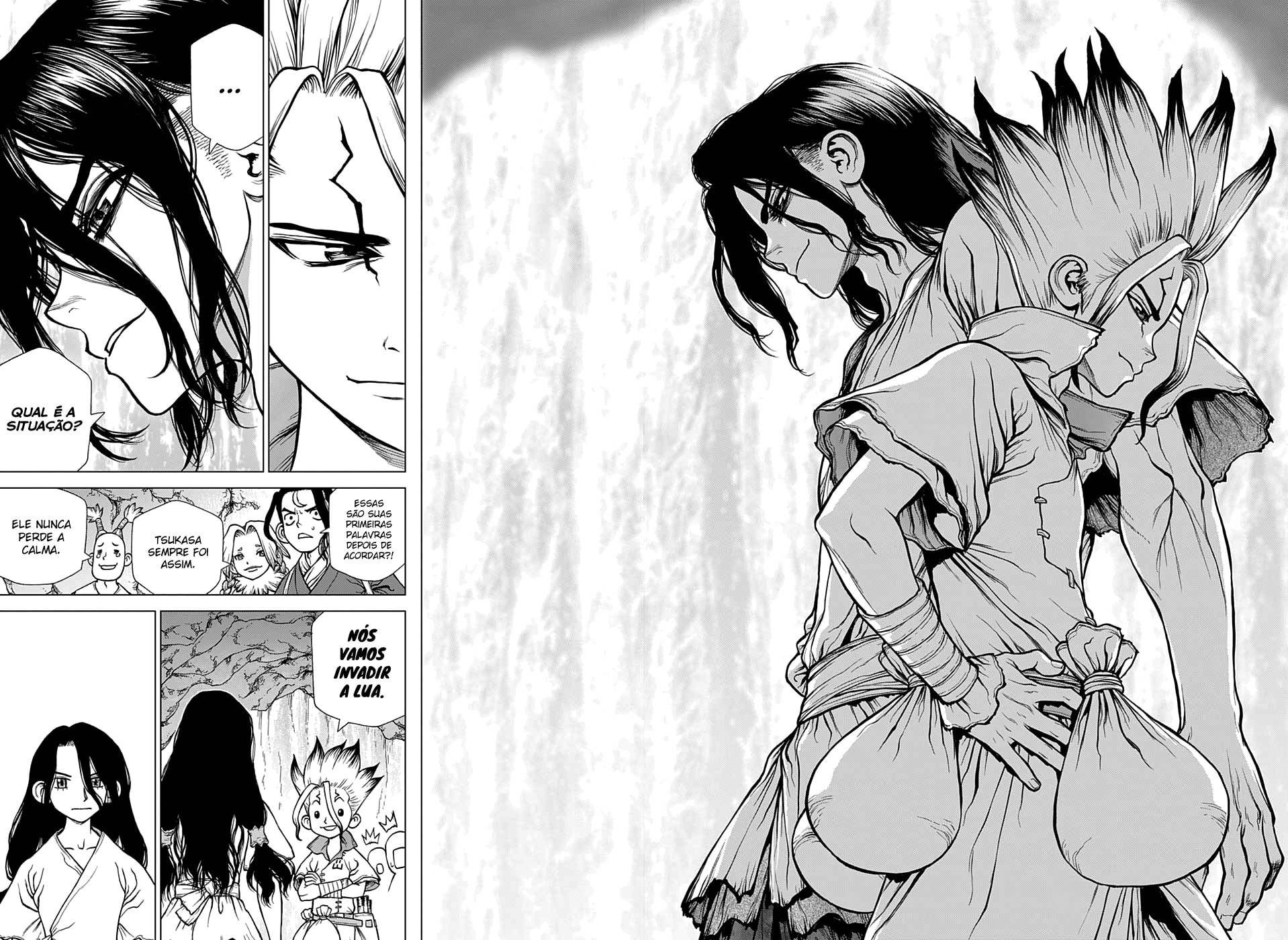 Read Dr. Stone Português Manga Online