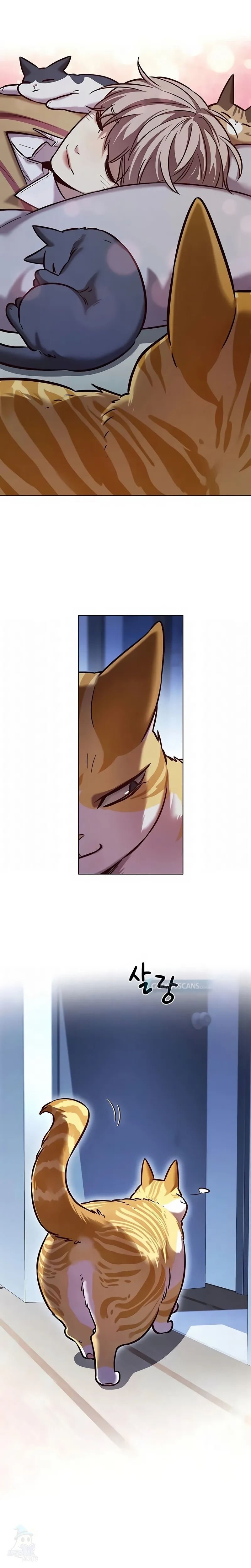 Read Eleceed Português Manga Online